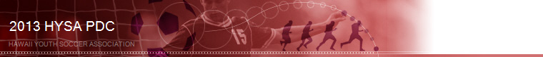 2013 HYSA Presidents Day Cup banner